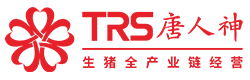 唐人神